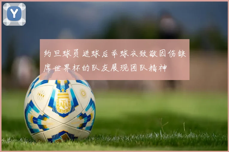 约旦球员进球后举球衣致敬因伤缺席世界杯的队友展现团队精神