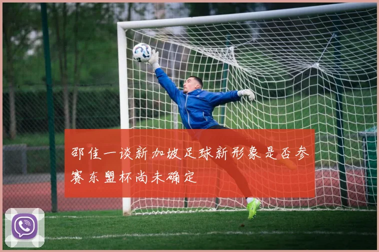 邵佳一谈新加坡足球新形象是否参赛东盟杯尚未确定